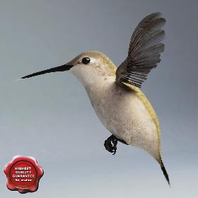 Hummingbird Pose1
